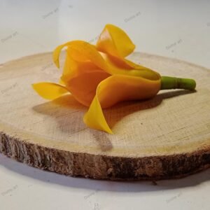 Kusumkala Handmade Floral Collection