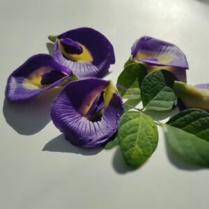 Kusumkala Handmade Floral Collection