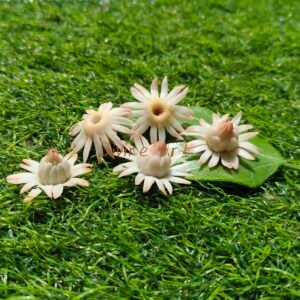 Kusumkala Handmade Floral Collection
