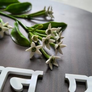 Advitiya Collection